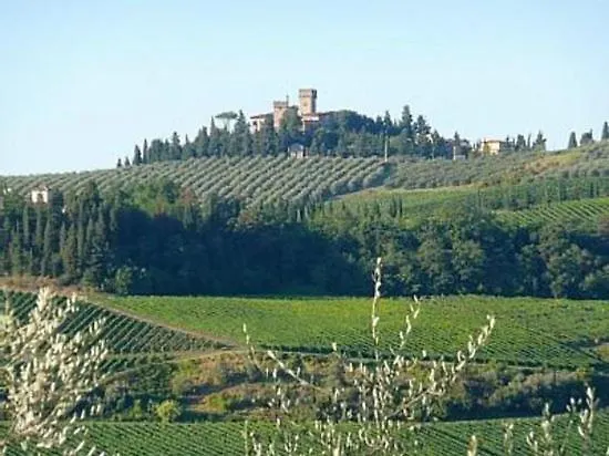 La Casetta Del Panda Montespertoli Italy